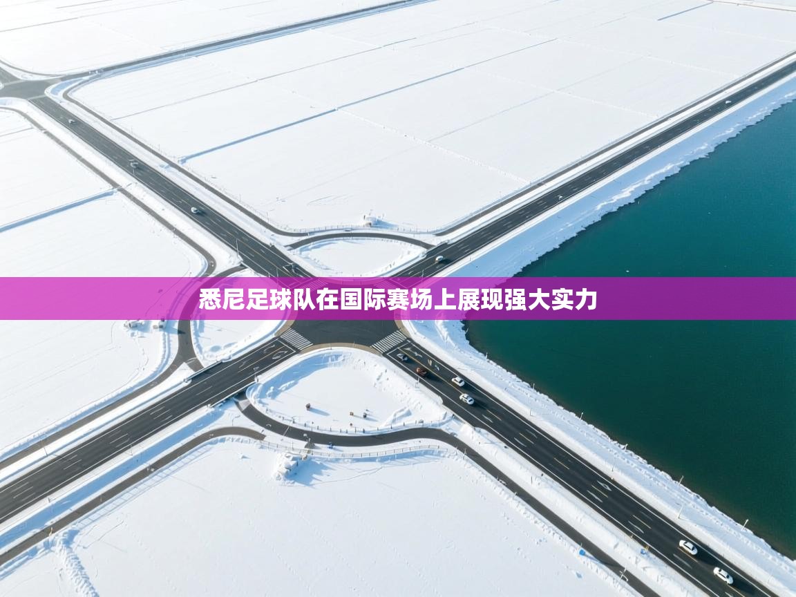 悉尼足球队在国际赛场上展现强大实力  第2张