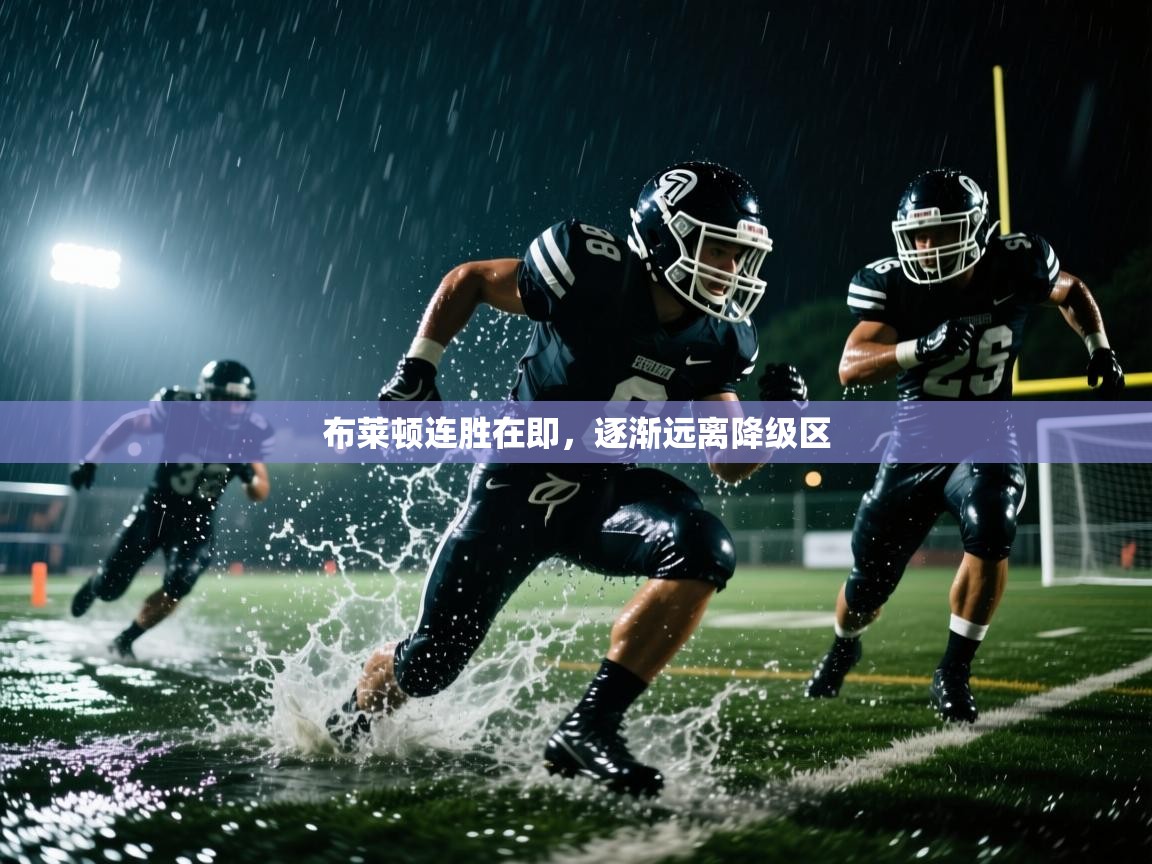 布莱顿连胜在即,逐渐远离降级区 第2张